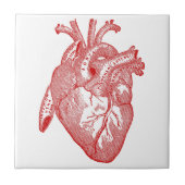 Rood Antiek anatomisch hart Tegeltje (Voorkant)