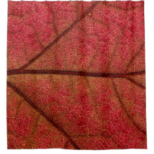 Rood blad in close-up fotografie douchegordijn