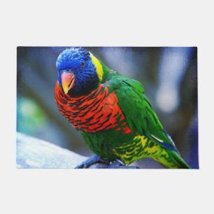 Rood blauw groen geel vogel close-up foto modern deurmat