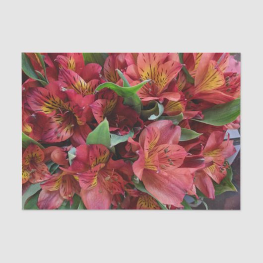 Rood Bloemen Tissue Paper Tissuepapier (Voorkant)