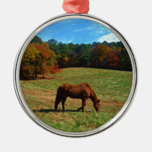 Rood bruin paard, herfst, blauwe luiers metalen ornament
