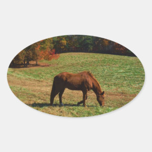 Rood bruin paard, herfst, blauwe luiers ovale sticker