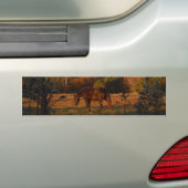 Rood bruin paard, herfst bossen. bumpersticker (Op auto)