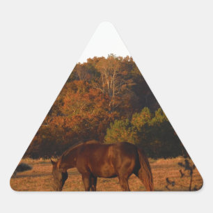 Rood bruin paard, herfst bossen. driehoek sticker