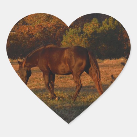 Rood bruin paard, herfst bossen. hart sticker (Voorkant)