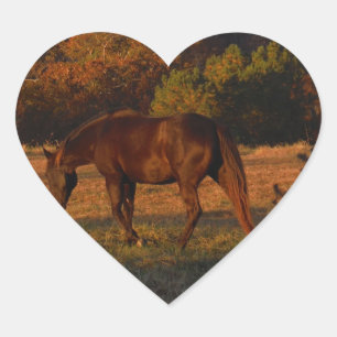 Rood bruin paard, herfst bossen. hart sticker