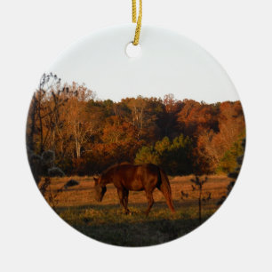 Rood bruin paard, herfst bossen. keramisch ornament