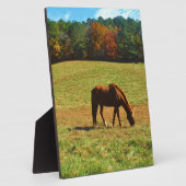 Rood bruin paard in de herfstbomen fotoplaat (Zijkant)