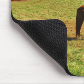 Rood bruin paard in de herfstbomen muismat (Hoek)