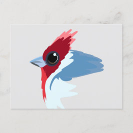 Rood-Crested Cardinaal Bird Briefkaart