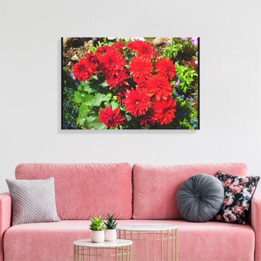 Rood Dahlia Bloemdoek Canvas Afdruk (Insitu (Woonkamer))