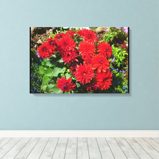 Rood Dahlia Bloemdoek Canvas Afdruk (Insitu (Houten vloer))