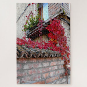 Rood draaiend Plant en het venster Legpuzzel