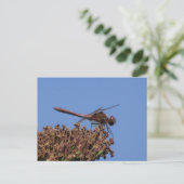 Rood Dragonfly DIY Briefkaart (Staand voorkant)