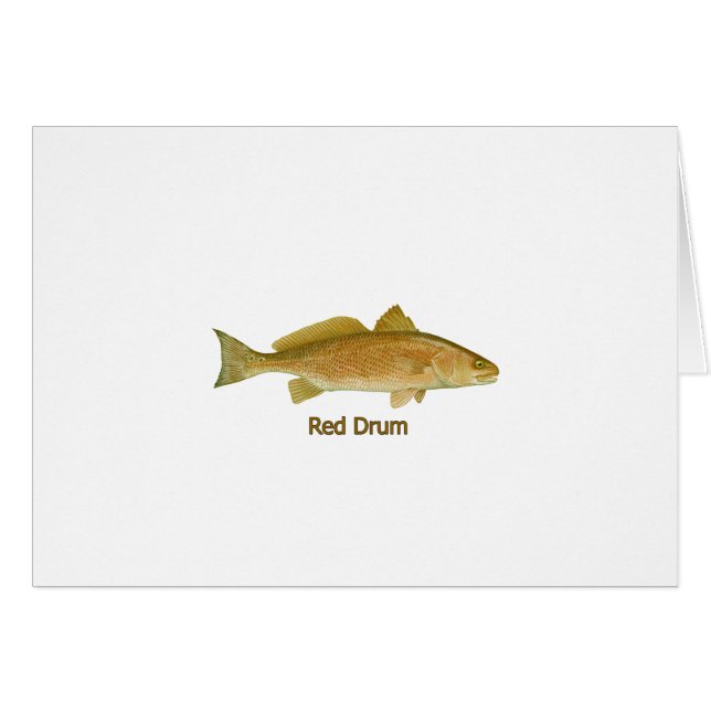 Rood drum (titel) (Voorkant Horizontaal)