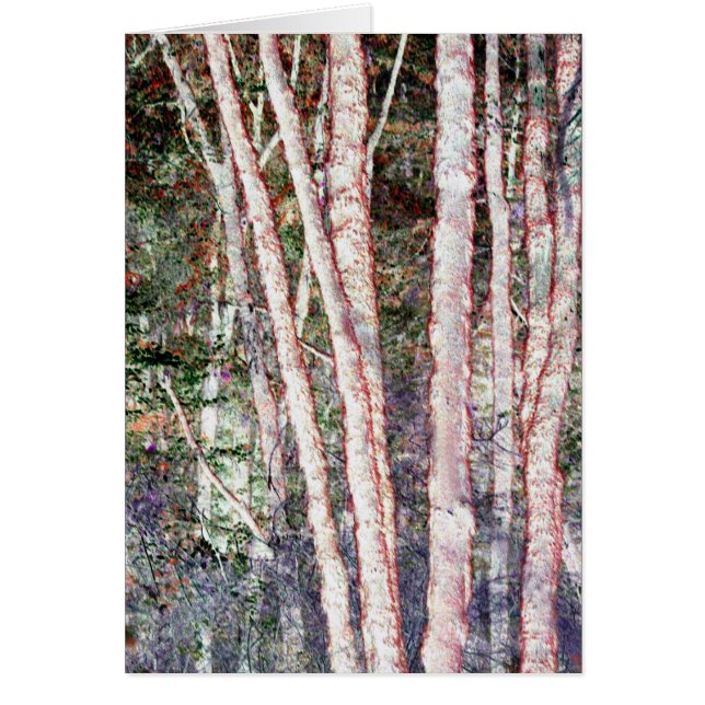 Rood-Edged Trees (Voorkant)