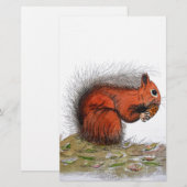 Rood-eekhoornpittenkegeltje Briefpapier (Voorkant / Achterkant)