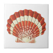 Rood en Bleek Geel Scallop schelp Acryl  Tegeltje (Voorkant)