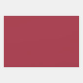 Rood- en bosgroen en witte feestdag inpakpapier vel (Voorkant)