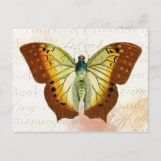 Rood en geel Briefkaart met  stijl vlinder
