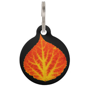 Rood en geel esperen Leaf #10 Huisdierpenning
