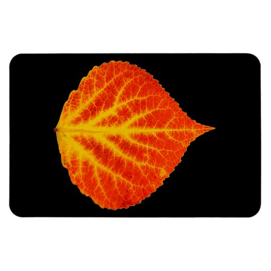 Rood en geel esperen Leaf #10 Magneet (Horizontaal)