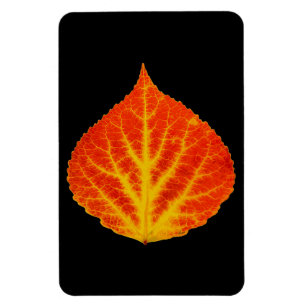 Rood en geel esperen Leaf #10 Magneet