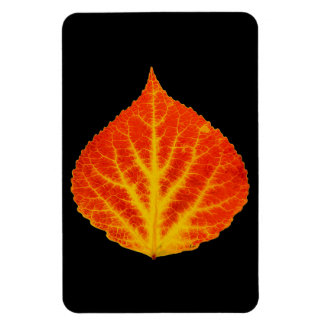 Rood en geel esperen Leaf #10 Magneet