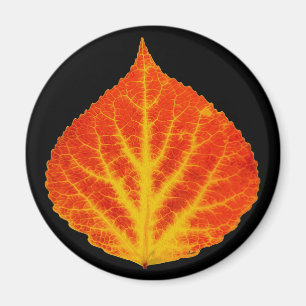 Rood en geel esperen Leaf #10 Magneet