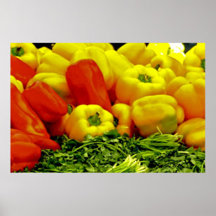 Rood- en gele galbultrupers poster