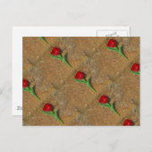 Rood- en gele Tulp Briefkaart (Voorkant / Achterkant)