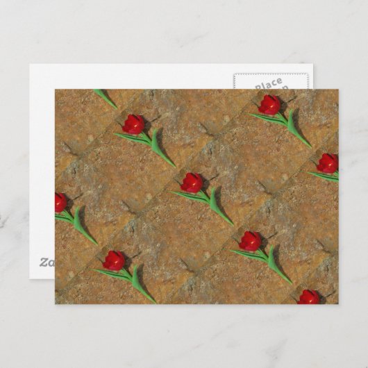 Rood- en gele Tulp Briefkaart (Voorkant / Achterkant)