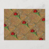 Rood- en gele Tulp Briefkaart (Voorkant)