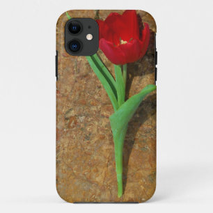 Rood- en gele Tulp iPhone 11 Hoesje