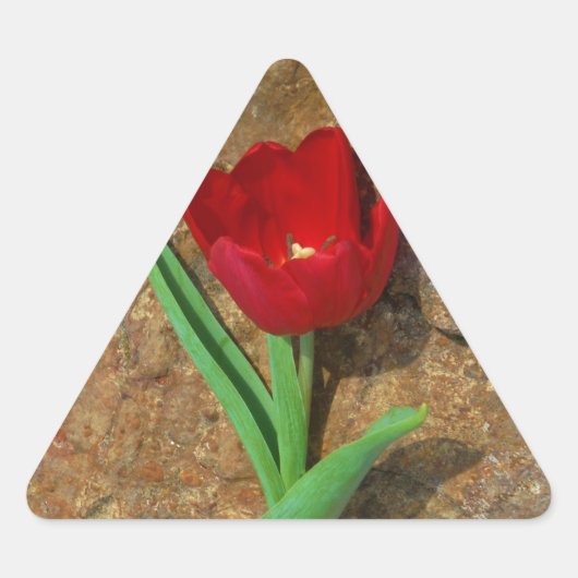 Rood- en gele Tulp Driehoek Sticker (Voorkant)