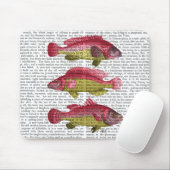 Rood- en gele vistrio muismat (Met muis)