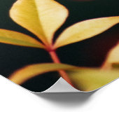 Rood- en Gold-afdrukken Poster (Hoek)