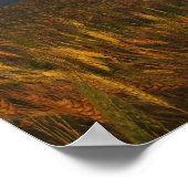 Rood en goud poster (Hoek)