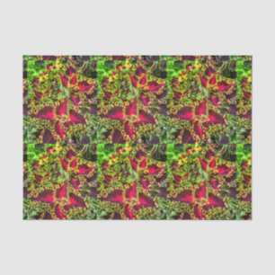 Rood en groen Coleus plant Tissuepapier