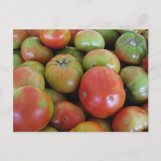 Rood- en groene tomaten briefkaart (Voorkant)