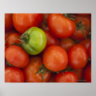 Rood- en Groene tomaten met een etiket voor verkoo Poster