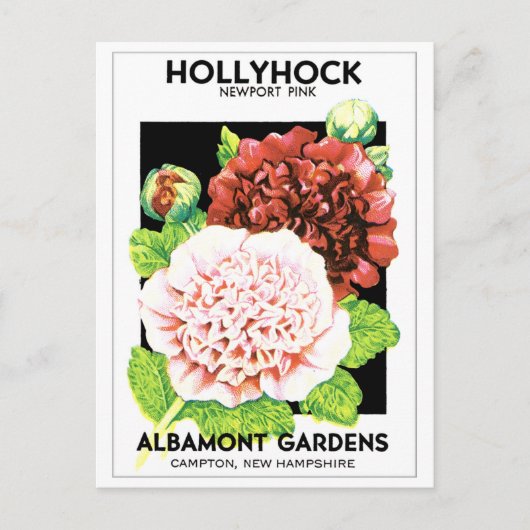  rood en roze gevlekt Hollyhock Seed Packet Briefkaart (Voorkant)