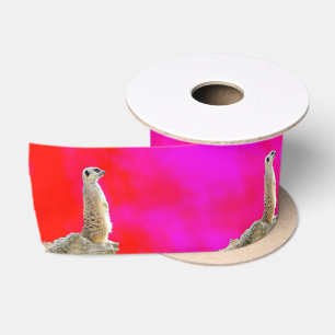Rood- en roze Meerkat-ontwerp Lint