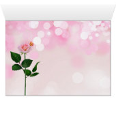 Rood- en roze roodroodkleurige tuin met zwarte kat (Binnen Horizontaal (Onder))