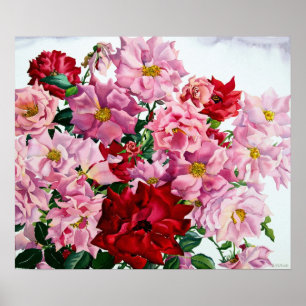 Rood en roze rozen 2008 poster