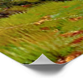 Rood en wit bier nabij een boshond poster (Hoek)