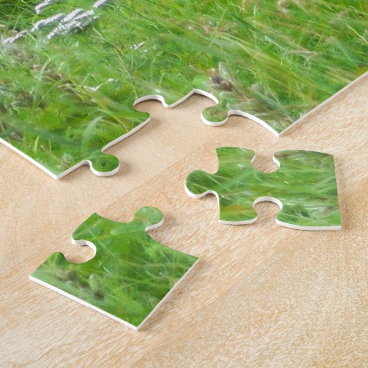 Rood en wit drijfvliegtuig, meer van Hood, Alaska Legpuzzel (Zijkant)
