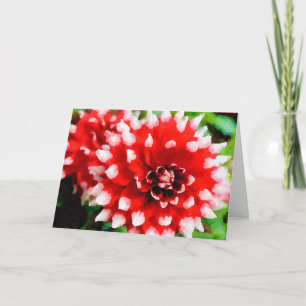 Rood en wit geschilderde tip Dahlia's Waterverf va Kaart
