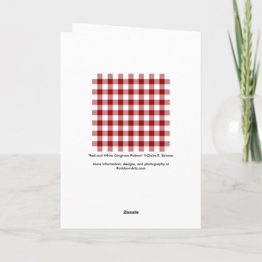 Rood en wit Gingham Pattern-kerstkaart Feestdagen Kaart (Achterkant)