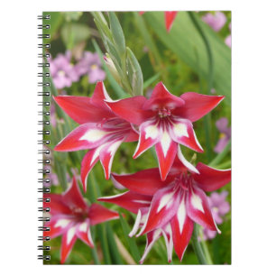 Rood en Wit Gladiolas Zomer Botanisch Notitieboek